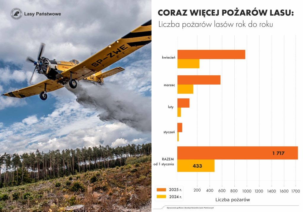 Susza w lasach - leśnicy i strażacy apelują: bądźmy ostrożni!