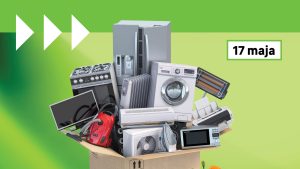 Kwiatek za elektrośmieci w Leroy Merlin Swarzędz