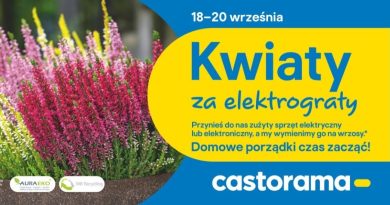 Kwiaty za elektrograty 2025: oddaj elektrośmieci, otrzymaj wrzosy