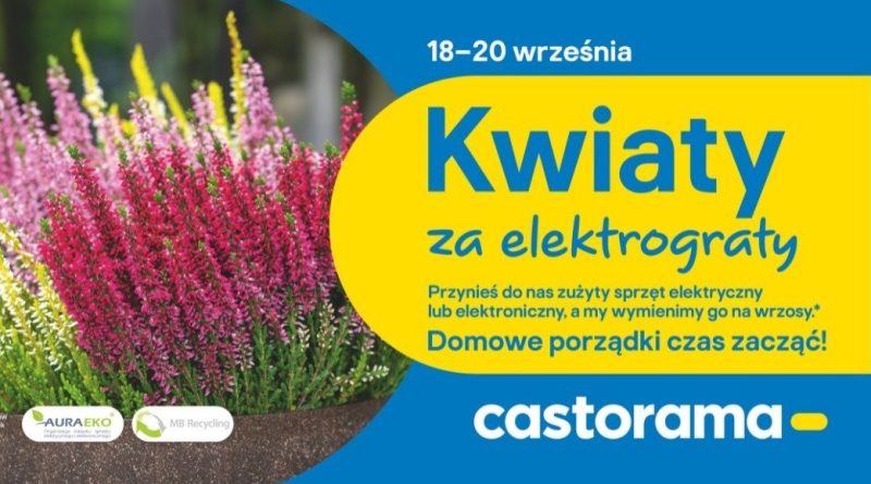 Kwiaty za elektrograty 2025: oddaj elektrośmieci, otrzymaj wrzosy
