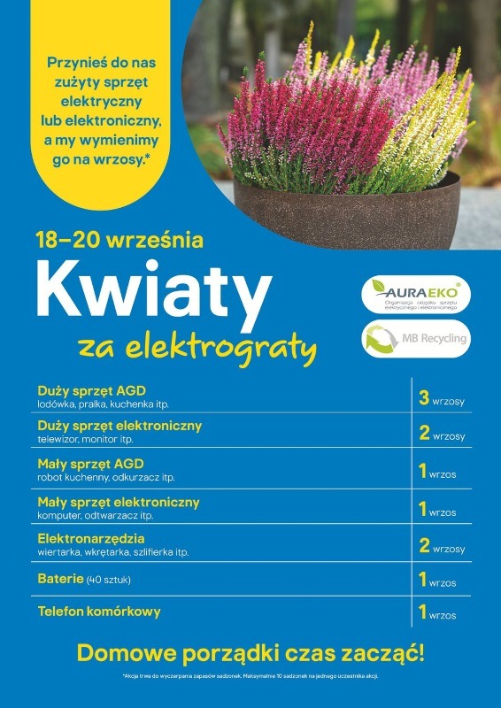 Kwiaty za elektrograty 2025: oddaj elektrośmieci, otrzymaj wrzosy
