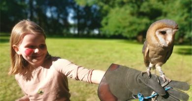 Festiwal Ornitologiczny w Uzarzewie. Święto ptaków i przyrody