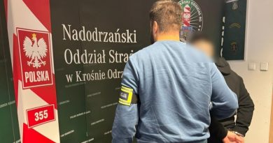 Kierował po alkoholu i został deportowany z Polski