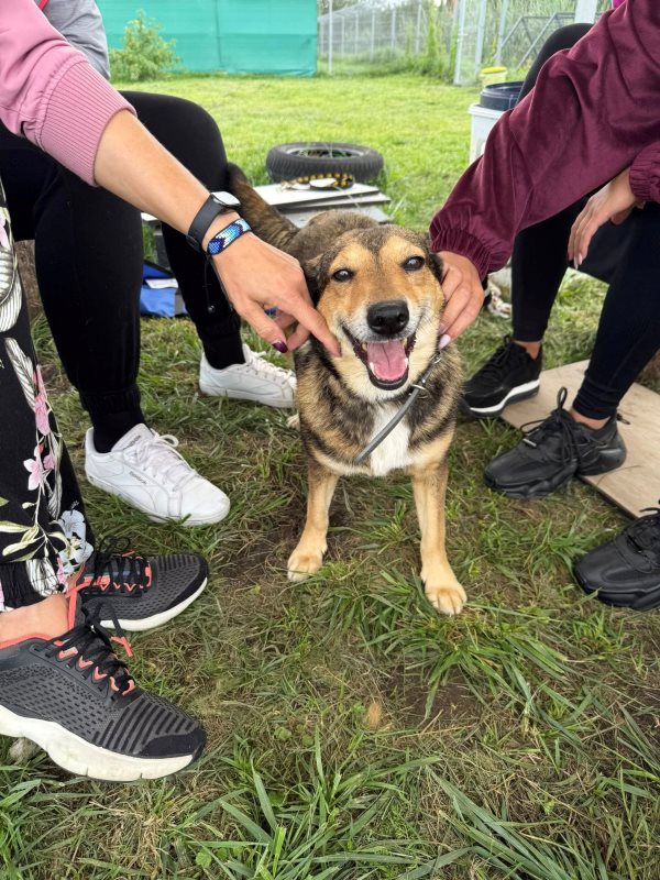 ETC Swarzędz i Schronisko w Skałowie łączą siły dla zwierząt