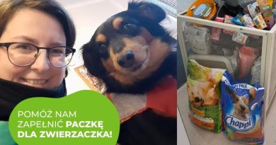 Paczka dla Zwierzaczka w Leroy Merlin Swarzędz po raz kolejny