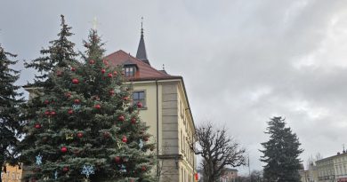 Wybory do Młodzieżowej Rady Miejskiej w Swarzędzu