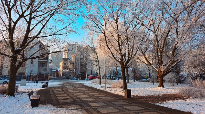 Półkolonie zimowe 2026 w Swarzędzu – dla dzieci w wieku 7–10 lat