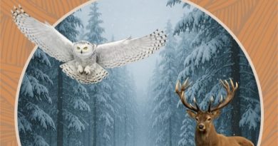 Ferie w Muzeum w Uzarzewie: Tajemnice zimowego lasu