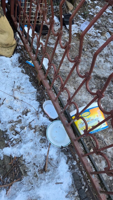 Interwencyjne odebranie psów w gminie Pobiedziska – sprawa znęcania się nad zwierzętami