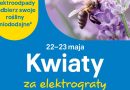 Kwiaty za elektrograty znów w maju! Po imponującej zbiórce 743 ton w marcu, czas na miododajną edycję