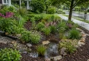 Ogród deszczowy w Jasinie – powstanie park kieszonkowy