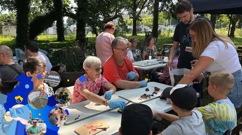 Zagłosuj w plebiscycie na projekt ŚWIT!