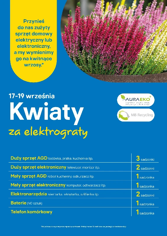 Zrób porządek i odbierz wrzosy od Castoramy