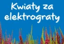 Zrób porządek i odbierz wrzosy od Castoramy