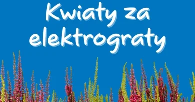 Zrób porządek i odbierz wrzosy od Castoramy Zrób porządek i odbierz wrzosy od Castoramy