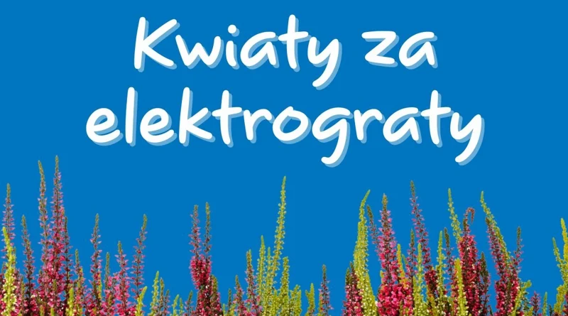 Zrób porządek i odbierz wrzosy od Castoramy