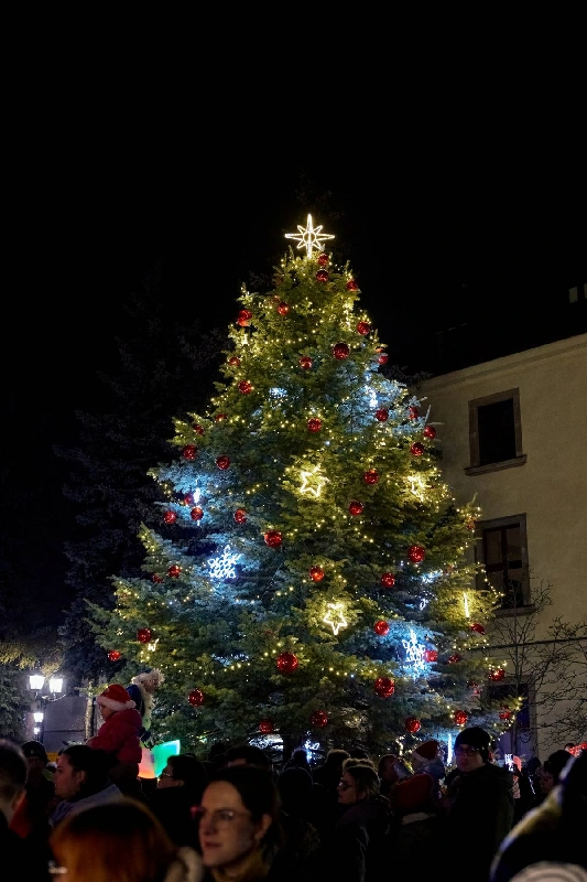 Choinka na swarzędzki Rynek. Gmina szuka drzewka